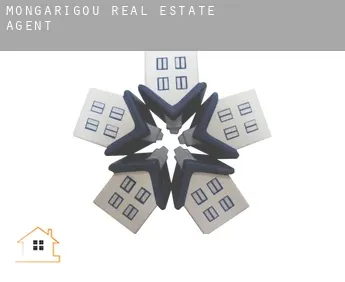 Mongarigou  real estate agent
