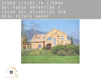 Other cities in Tierra del Fuego, Antartida e Islas del Atlantico Sur  real estate agent