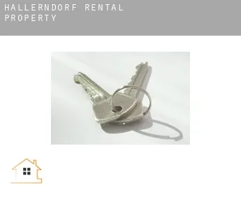 Hallerndorf  rental property