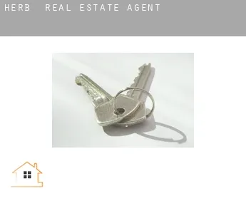 Herb  real estate agent