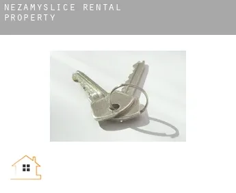 Nezamyslice  rental property