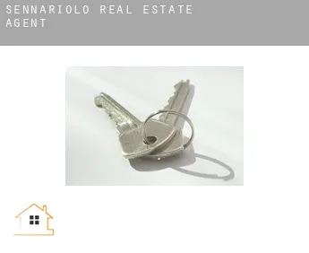 Sennariolo  real estate agent
