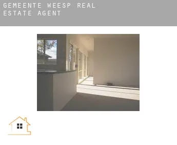 Gemeente Weesp  real estate agent