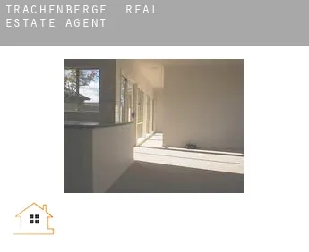 Trachenberge  real estate agent