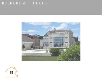 Buchenegg  flats