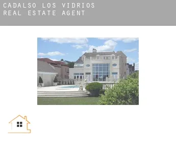 Cadalso de los Vidrios real estate agent