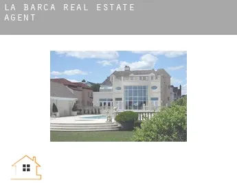 La Barca  real estate agent