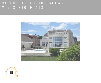 Other cities in Caguas Municipio  flats