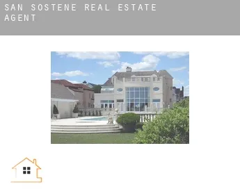 San Sostene  real estate agent
