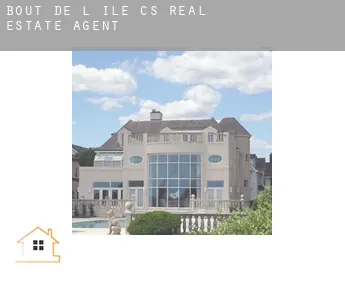 Bout-de-l'Île (census area)  real estate agent
