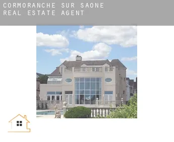 Cormoranche-sur-Saône  real estate agent