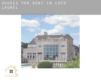 Houses for rent in Coto Laurel