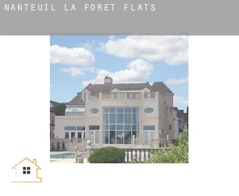Nanteuil-la-Forêt  flats