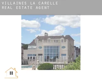 Villaines-la-Carelle  real estate agent