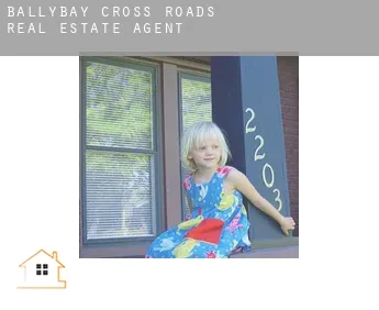 Ballybay Cross Roads  real estate agent