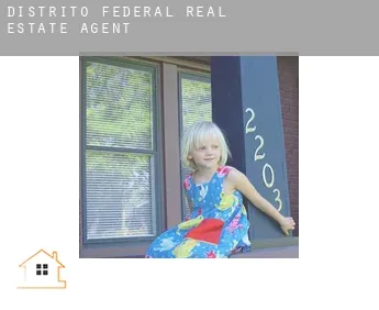 Federal District  real estate agent