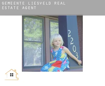 Gemeente Liesveld  real estate agent