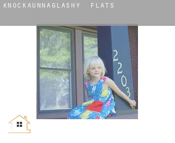Knockaunnaglashy  flats