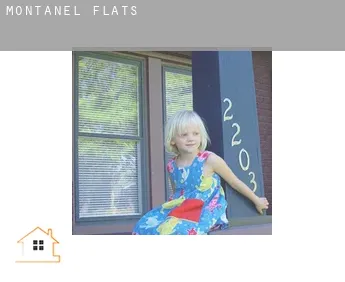 Montanel  flats