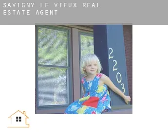 Savigny-le-Vieux real estate agent