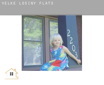 Velké Losiny  flats