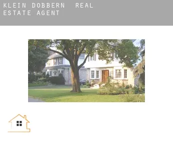Klein Döbbern  real estate agent