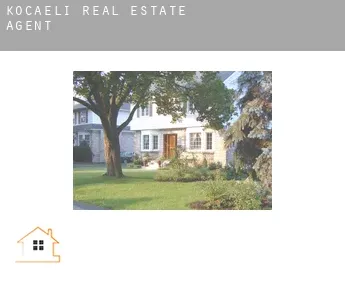 Kocaeli  real estate agent