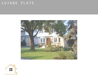 Luigné  flats