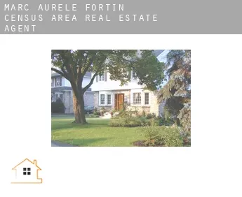 Marc-Aurèle-Fortin (census area)  real estate agent