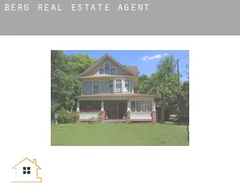 Berg  real estate agent