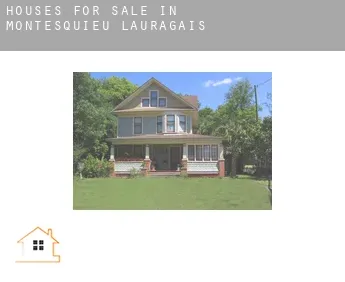Houses for sale in  Montesquieu-Lauragais