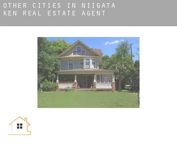 Other cities in Niigata-ken  real estate agent