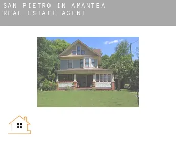 San Pietro in Amantea  real estate agent