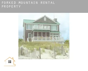 Forked Mountain  rental property