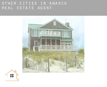 Other cities in Anasco  real estate agent