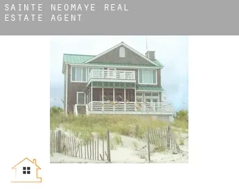 Sainte-Néomaye  real estate agent