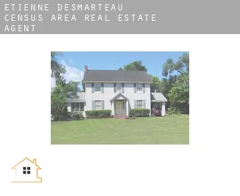 Étienne-Desmarteau (census area)  real estate agent