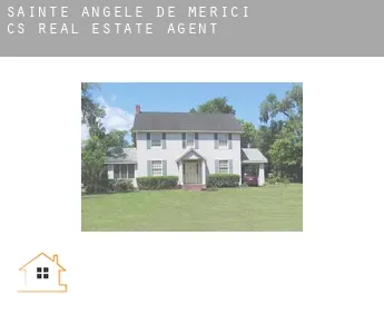 Sainte-Angèle-de-Mérici (census area)  real estate agent