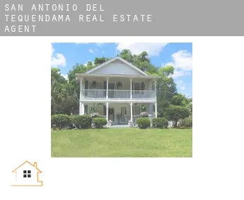 San Antonio del Tequendama  real estate agent