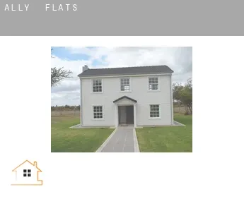 Ally  flats