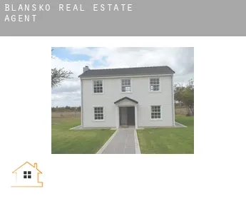 Blansko  real estate agent