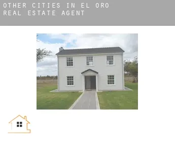 Other cities in El Oro  real estate agent