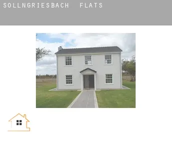 Sollngriesbach  flats