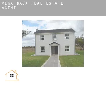 Vega Baja  real estate agent