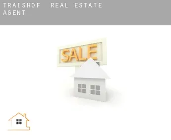 Traishof  real estate agent