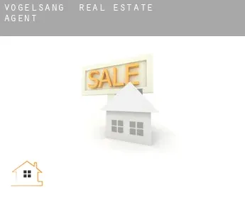 Vogelsang  real estate agent