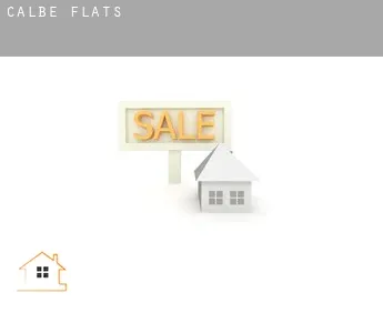 Calbe  flats