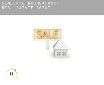 Gemeente Bronckhorst  real estate agent
