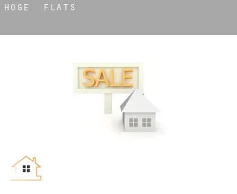 Höge  flats