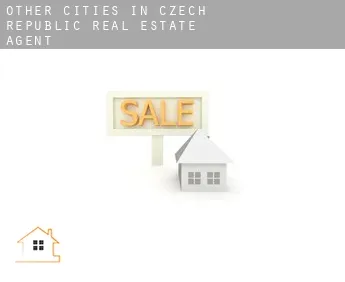 Other cities in Czech Republic  real estate agent